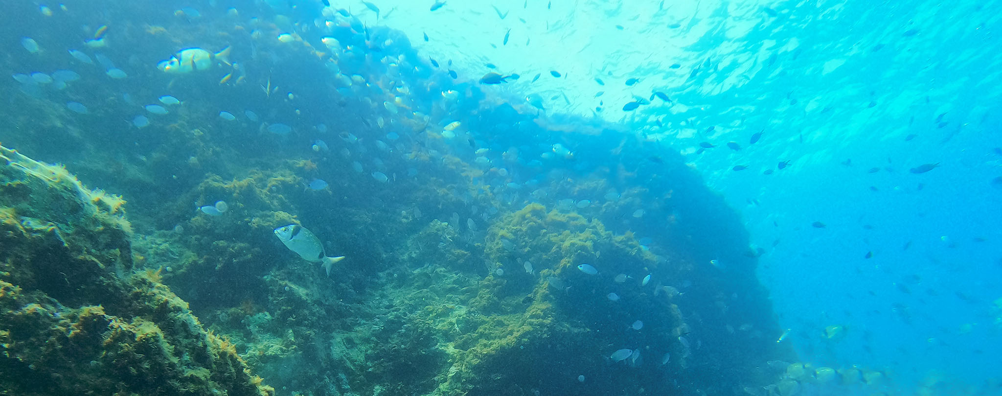 Nemo33 duik 